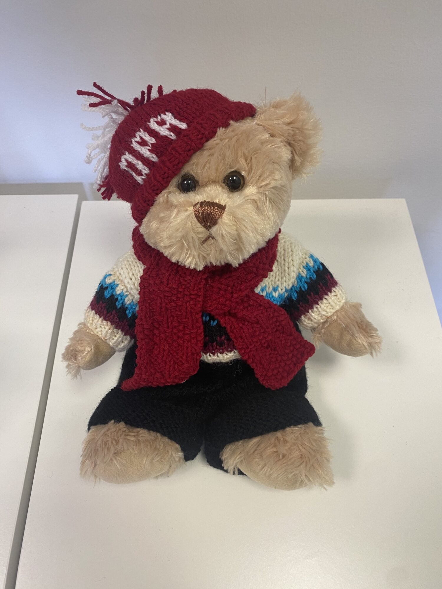 Small Teddy - Full outfit with red OPA hat & scarf - The OPA