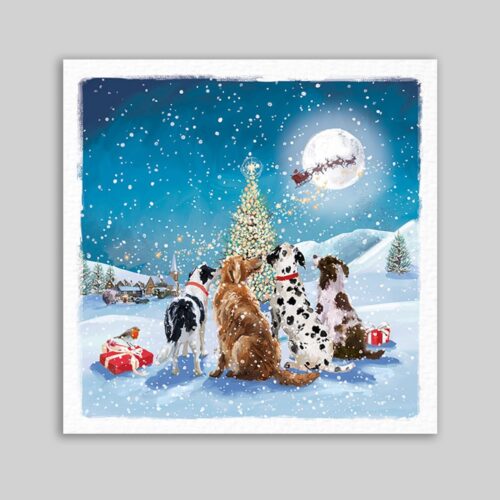 Have You Been Good - 10 Pack