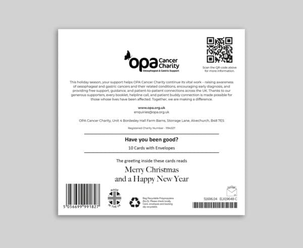 Have You Been Good - 10 Pack - Image 2