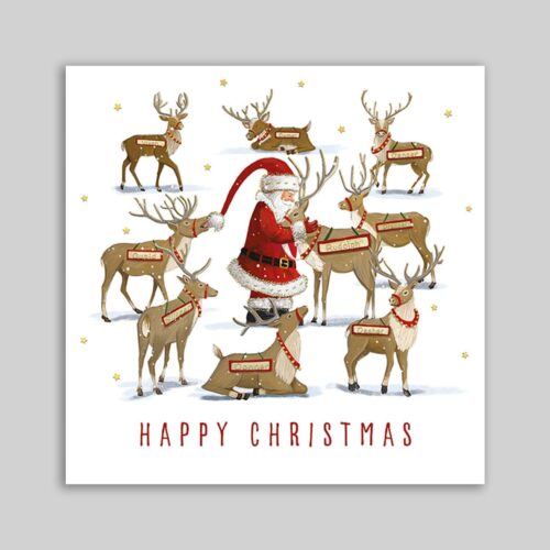 Santa Feeding the Reindeer - 10 Pack